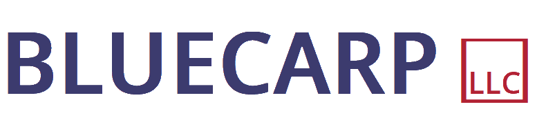 BLUECARP LLC logo