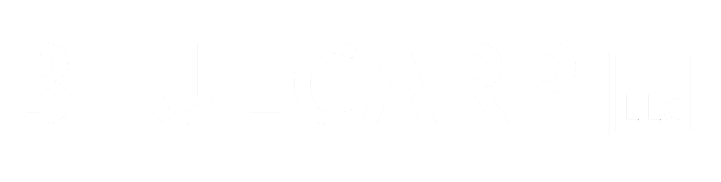 BLUECARP LLC logo